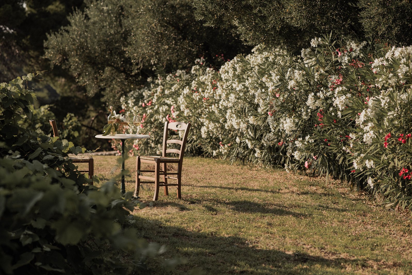 Villa Ampeli - Garden Area - Lithies Organic Farm